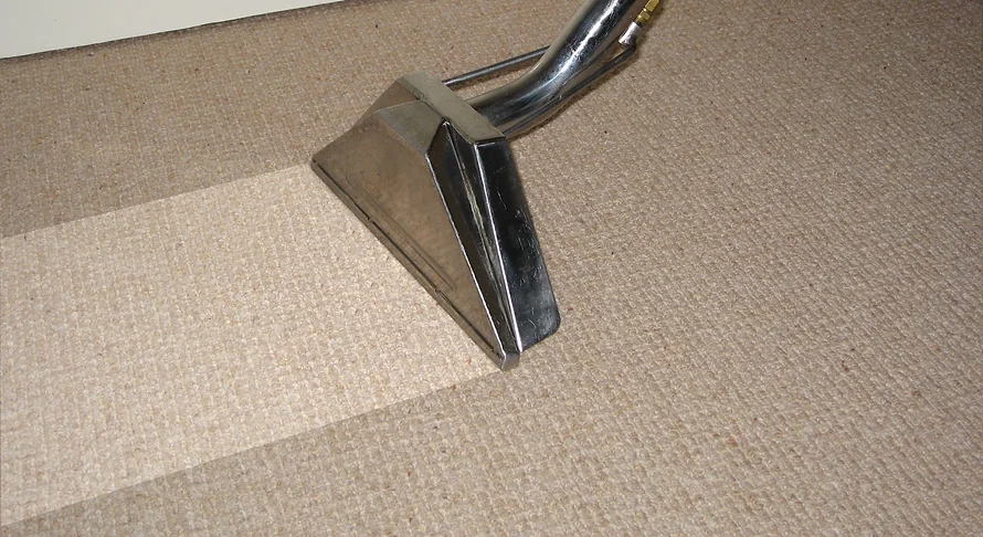 Close-up of a carpet cleaning wand showing the cleaned track on beige textured carpet, highlighting the contrast between the cleaned and dirty areas